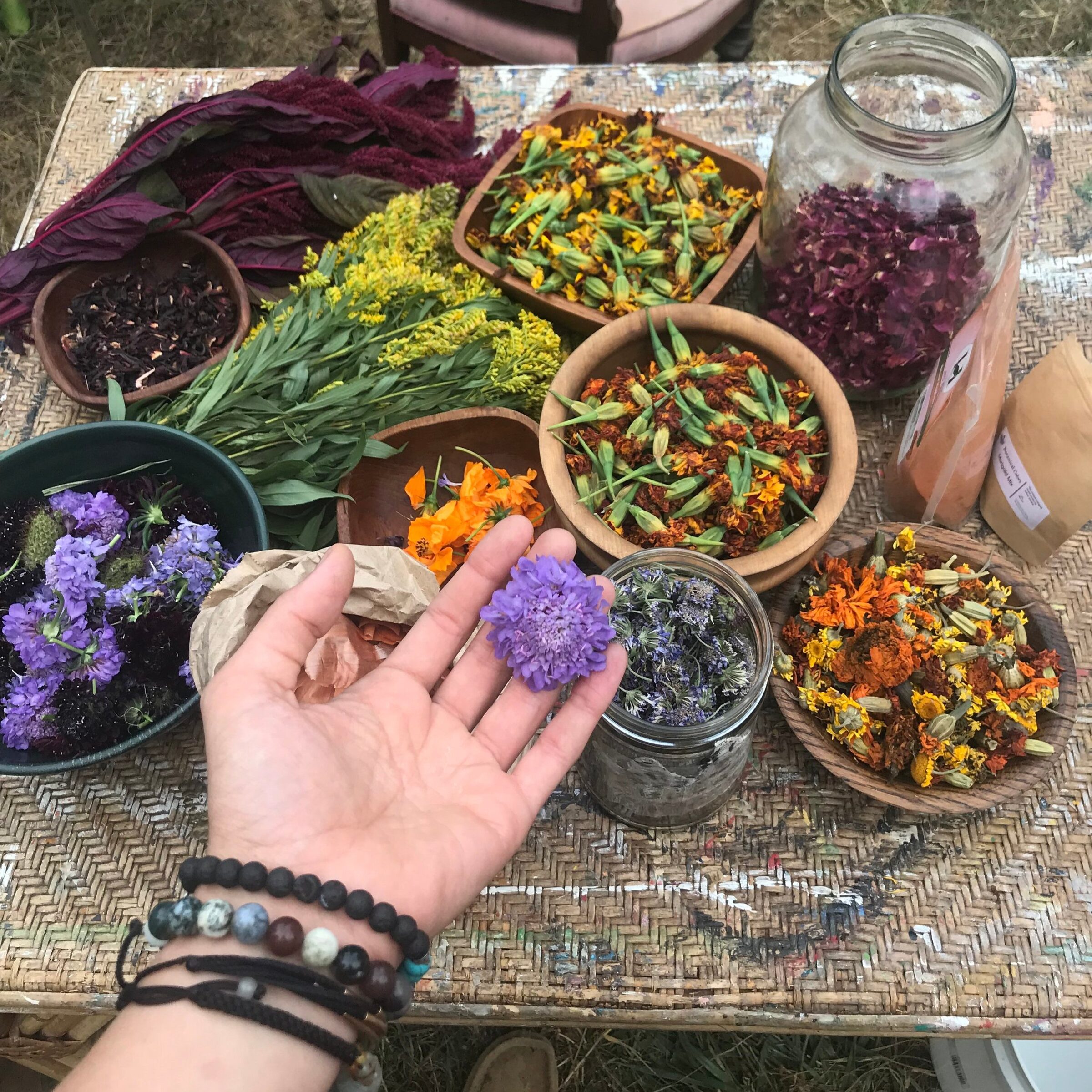 Bowls of flowers and plants gathered for natural dyeing